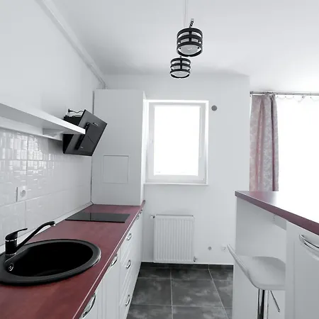 Appartement City Center Unirii Studio